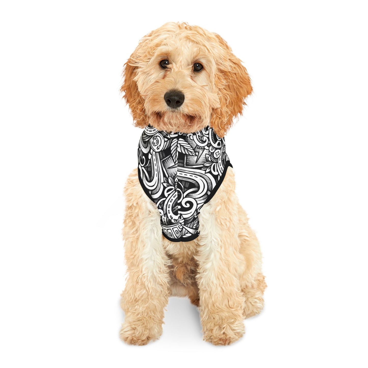 Electric EV Maze Pet Hoodie